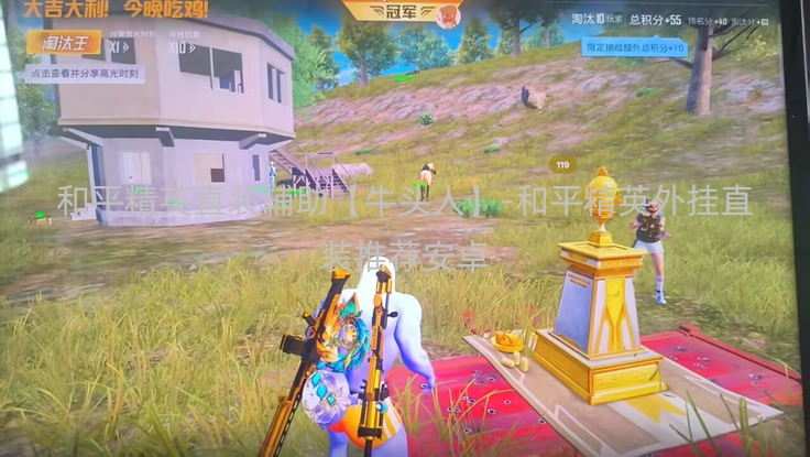 和平精英直装辅助【牛头人】-和平精英外挂直装推荐安卓