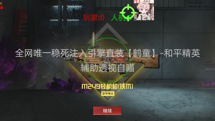 全网唯一稳死注入引擎直装【鹤童】-和平精英辅助透视自瞄