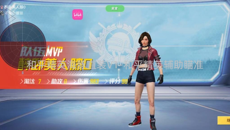 和平精英海豚直装V1-和平精英辅助瞄准