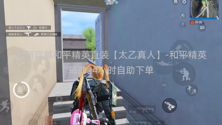 全新容器和平精英直装【太乙真人】-和平精英辅助24小时自助下