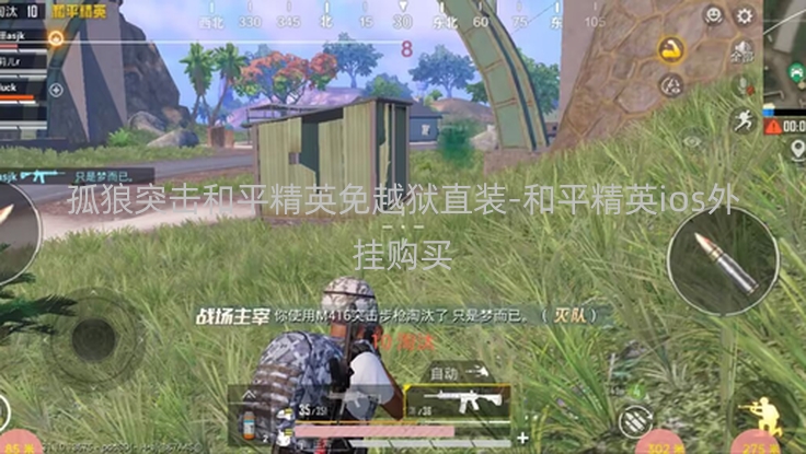 孤狼突击和平精英免越狱直装-和平精英ios外挂购买