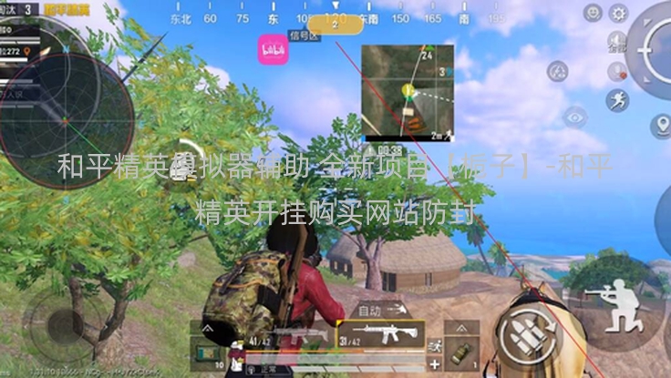 和平精英模拟器辅助 全新项目【栀子】-和平精英开挂购买网站防